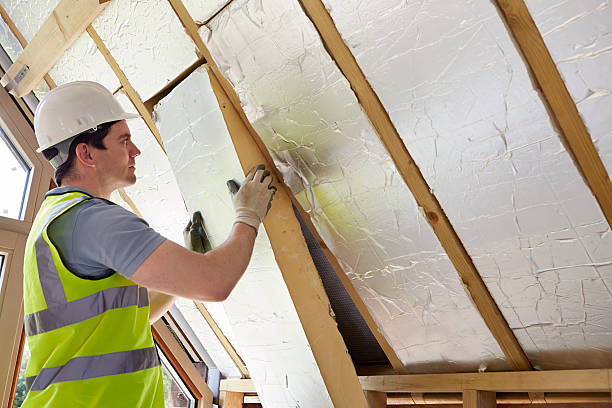 Best Commercial Insulation Services  in Rochelle, IL